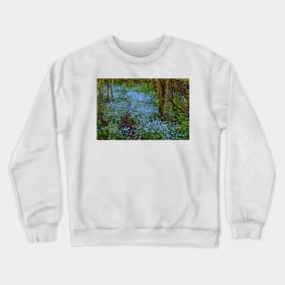 Forest Forget-Me-Nots Crewneck Sweatshirt